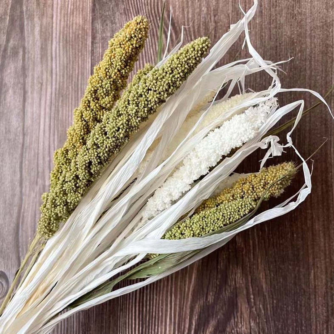 Dried Millet Spike Bouquet Decorative Flowers Millet Rice Etsy Hong Kong