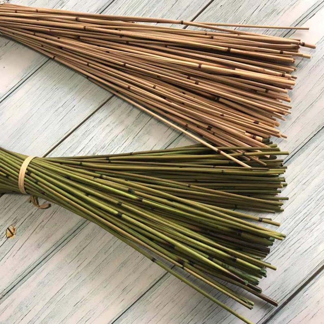 Bamboo Sticks 20 Pcs Pack Natural Craft Material Wood Wooden Reed Twigs  Wind Chimes Diy Cane Plant Branches Raw Supplies Tiki Decor Parts 