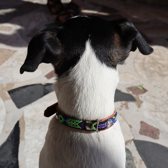 Porta etiqueta de cuero mascotas Collares perritos - Etsy España