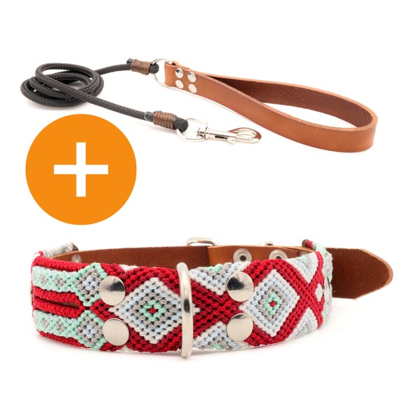 para mascota colorido collar de perro Collares de - Etsy España