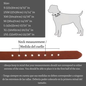 Peut inclure: Un collier de chien en cuir marron, disponible en plusieurs tailles, de S (23x30cm) &agrave; 2XL (55x67cm). L'image comprend un sch&eacute;ma de mesure du cou et des d&eacute;tails de taille, ainsi qu'un guide des tailles.