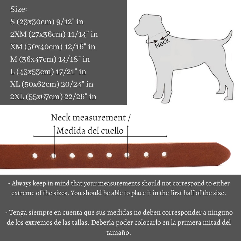 Peut inclure: Un collier de chien en cuir marron, disponible en plusieurs tailles, de S (23x30cm) &agrave; 2XL (55x67cm). L'image comprend un sch&eacute;ma de mesure du cou et des d&eacute;tails de taille, ainsi qu'un guide des tailles.