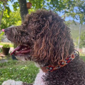 Colliers pour chiens marron et bleu marine, collier foncé pour animaux de compagnie, cadeaux pour les amoureux des chiens, collier confortable pour chiots, collier pour animal de compagnie, CHIENS : image 9