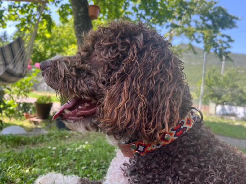 Colliers pour chiens marron et bleu marine, collier foncé pour animaux de compagnie, cadeaux pour les amoureux des chiens, collier confortable pour chiots, collier pour animal de compagnie, CHIENS : image 9