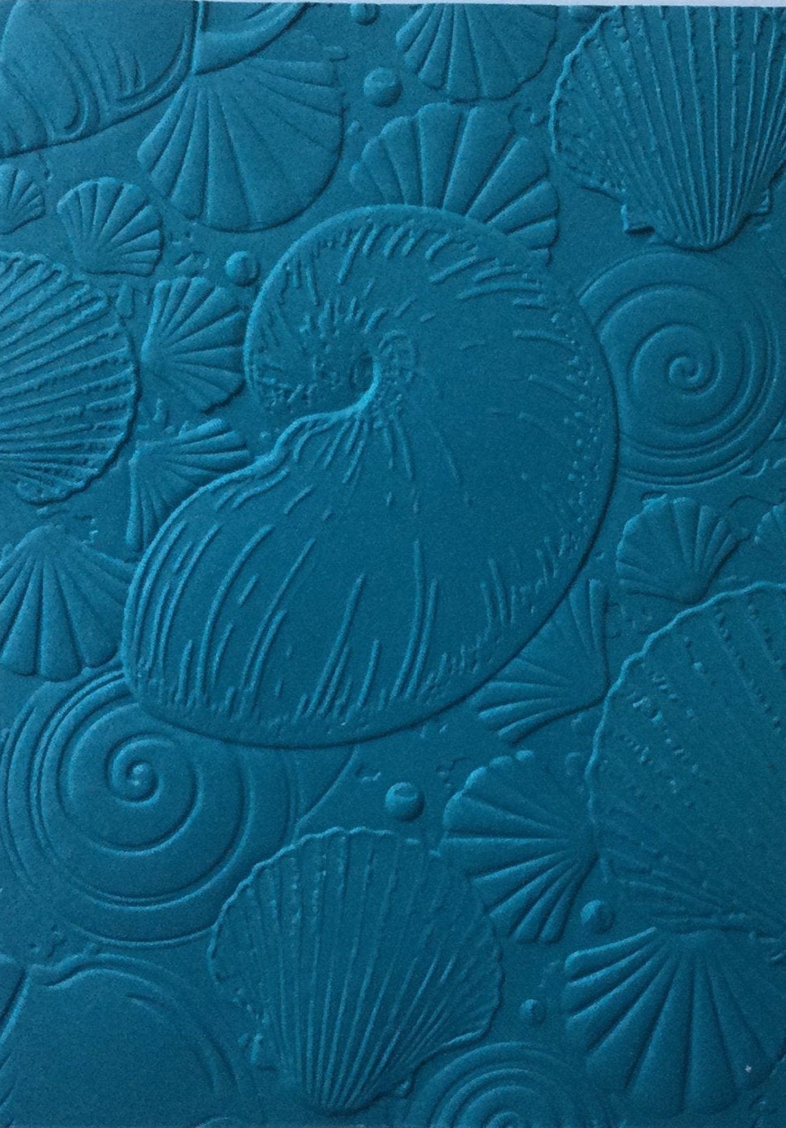 Seashell Medley Embossed Cardstock Embossed Sheets Embossed Etsy