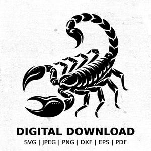 Scorpion Silhouette SVG for POD, Clip Art Scorpion Download, Digital Scorpion Cut File, Scorpion Vector Art, Scorpion Tattoo Design