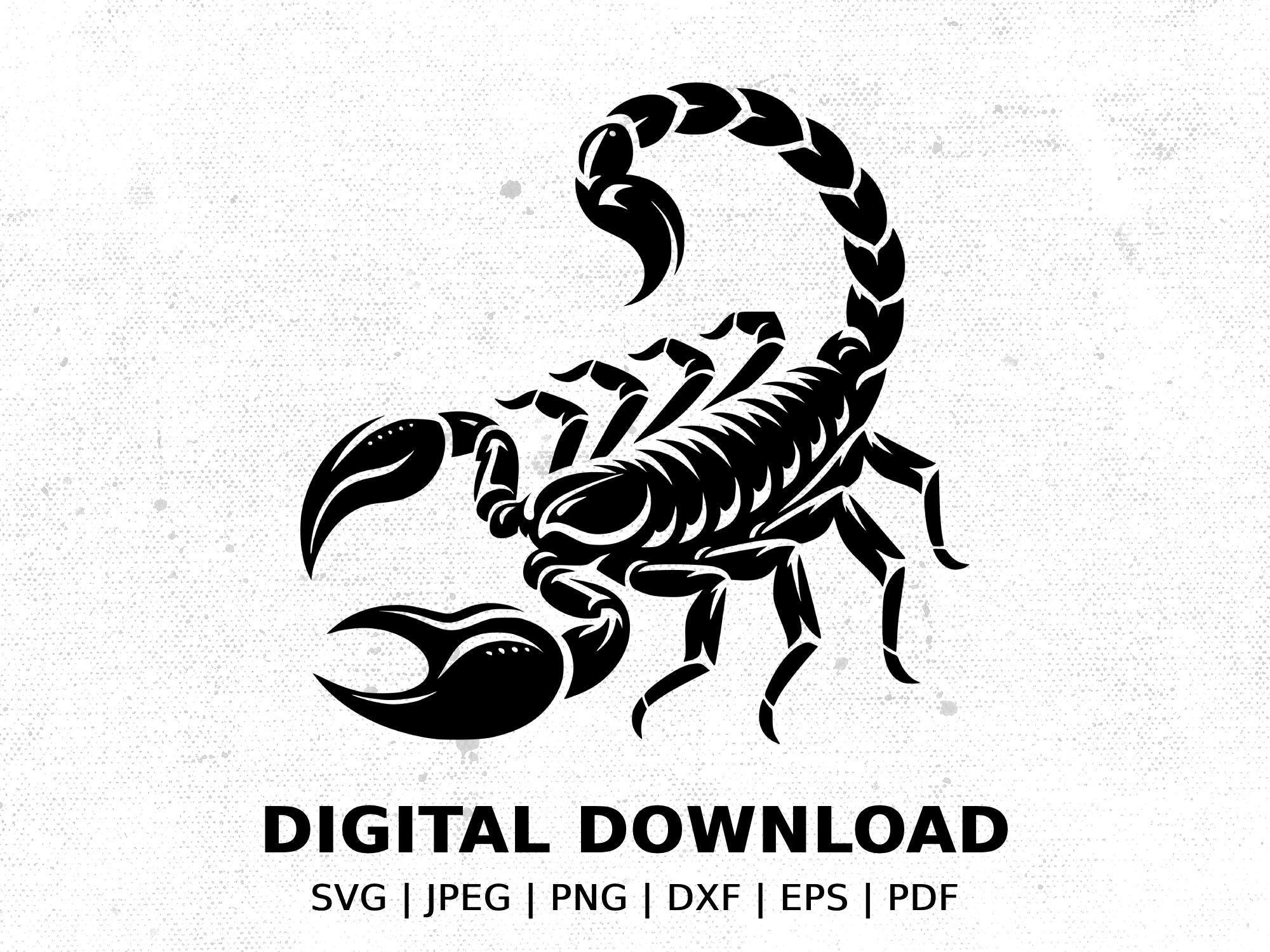 Scorpion Silhouette SVG for POD, Clip Art Scorpion Download, Digital Scorpion Cut File, Scorpion Vector Art, Scorpion Tattoo Design