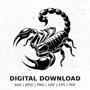 Scorpion Silhouette Digital Download, Vector Scorpion Clipart, Scorpion SVG File, Digital File For Cricut and Silhouette, POD Scorpion