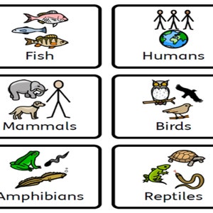KS1 Science Vocabulary and Activities