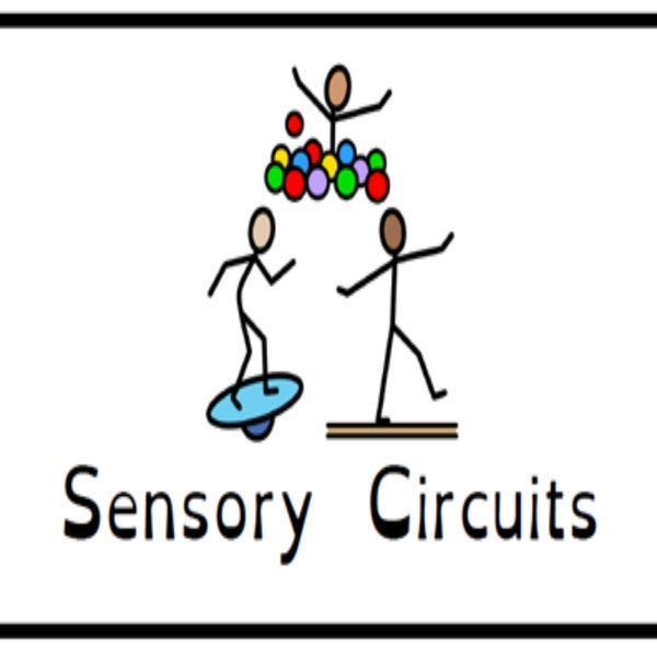 Sensory Circuit Cards