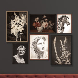 Dark Academia Decor Printable Gallery Wall Set, Vintage Goth Aesthetic Downloadable Collage Kit
