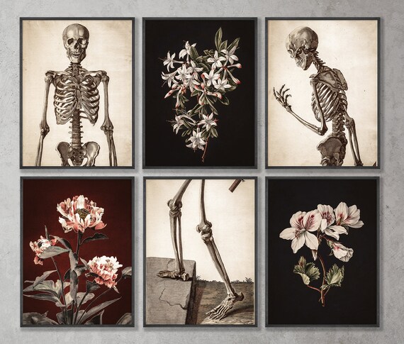 Dark Academia Decor Aesthetic Printable Wall Art Set Vintage | Etsy Canada
