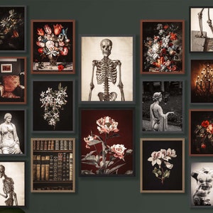 Goth Dark Botanical Decor Skeleton Printable Gallery Wall Art Set