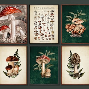 Goblincore Decor Vintage Mushrooms Printable Art Set, Dark Forest Witch Aesthetic Gallery Wall Set