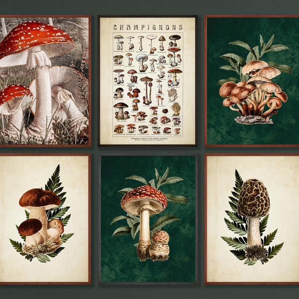 Green Witch Decor Vintage Mushrooms Printable Art Set, Dark Forestcore Aesthetic Aesthetic Gallery Wall Set