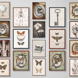 Light Academia Decor Aesthetic Mega Bundle Printable Gallery Wall Art Set