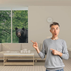 Puede incluir: Un hombre con un suéter gris señala una ventana con un oso negro mirando. La ventana muestra una escena de bosque. La habitación tiene un sofá blanco, una mesa pequeña y un reloj en la pared.