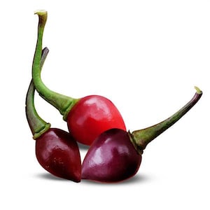 May include: Three chili peppers, one red and two purple, with green stems.