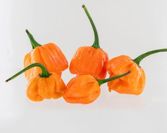 Peach Scotch Bonnet Pepper Seeds