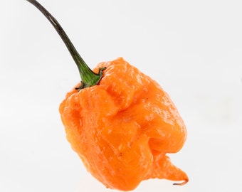 Orange Carolina Reaper Pepper Seeds