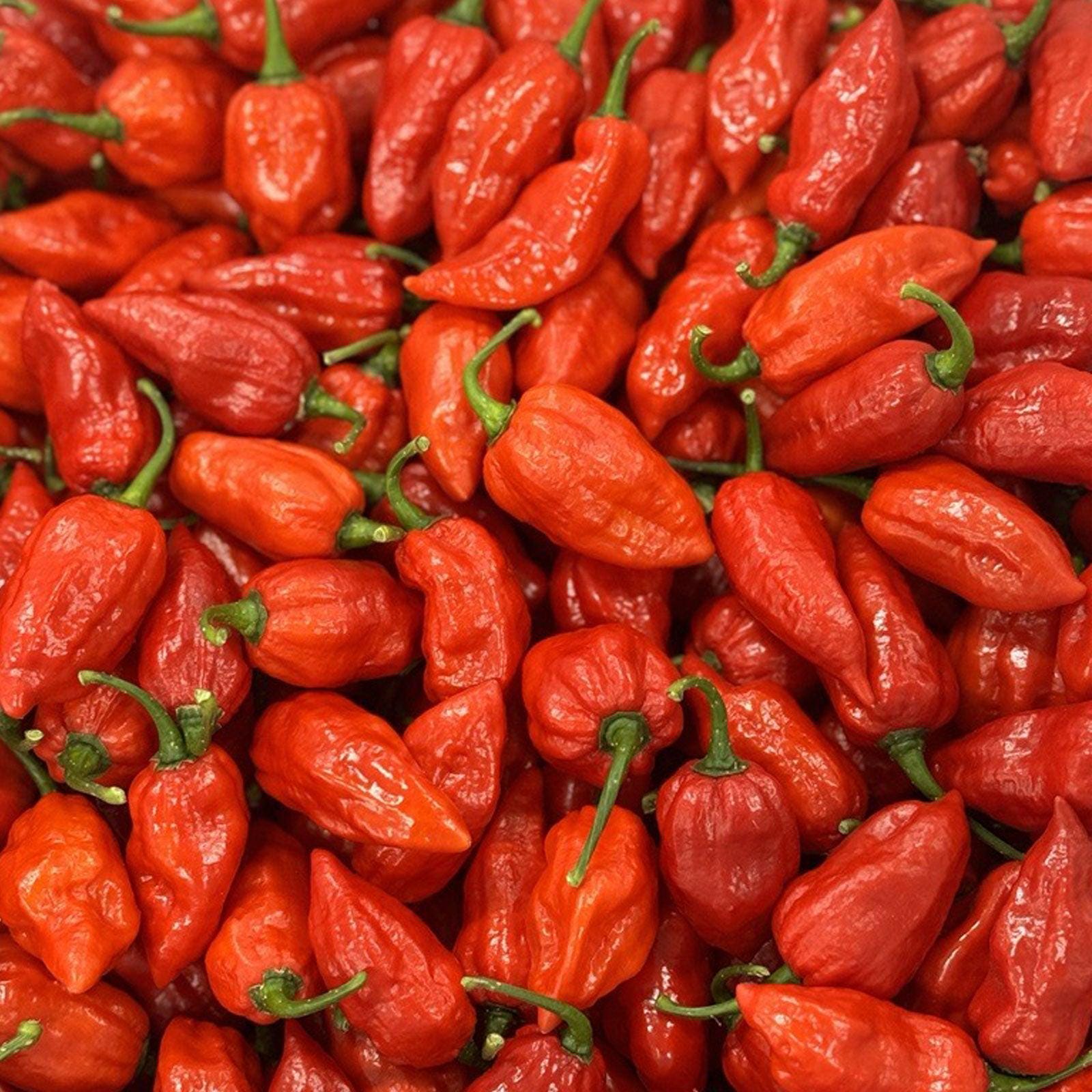 Ghost Pepper Seeds - Bhut Jolokia Pepper Seeds - Etsy