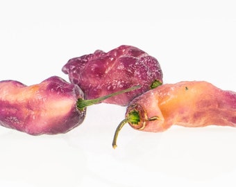 Pink Tiger X Peach Bhut Chili Pepper Seeds