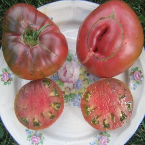Vorlon Tomato Seeds