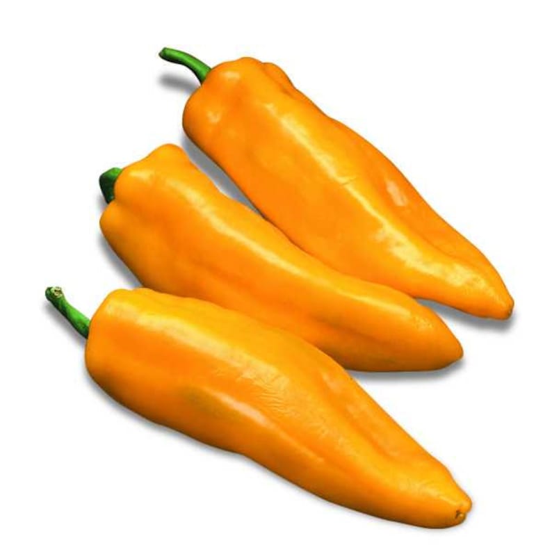 Pepper Joe's Marconi Pepper Seeds