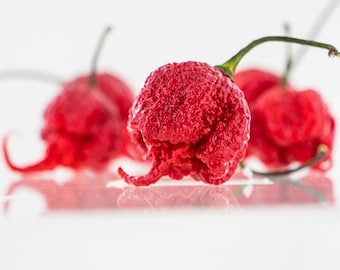 Carolina Reaper Pepper Seeds | HP22B