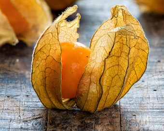 Pineapple Tomatillo Seeds