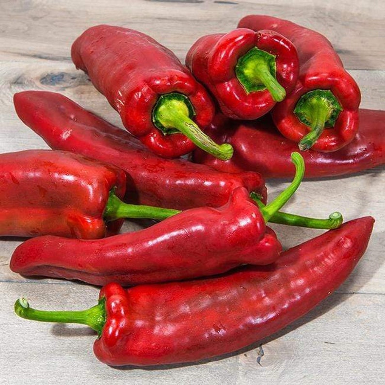 Pepper Joe's Marconi Italian Pepper Seeds - Thumbnail 2
