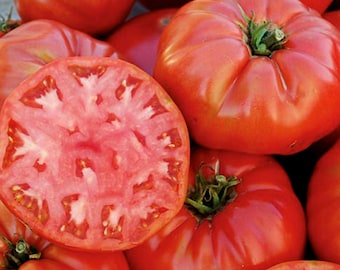 Mortgage Lifter Tomato Seeds