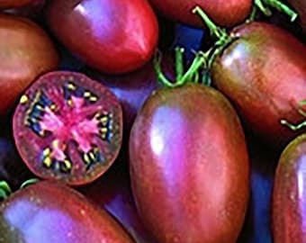Ukrainian Purple Tomato Seeds