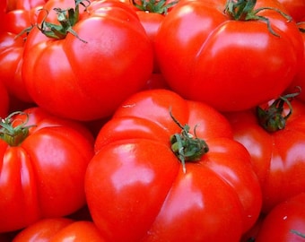 Red Brandywine Tomato Seeds