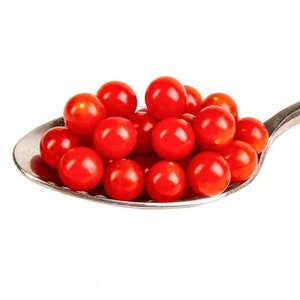 Teaspoon Tomato Seeds