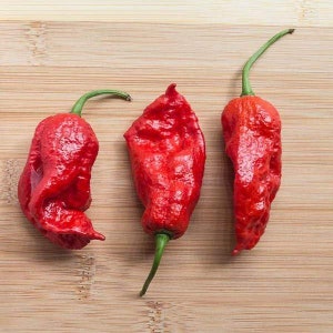 King Naga Pepper Seeds