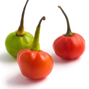 May include: Three small peppers, one green and two red, with stems. The peppers are round and have a bumpy texture.