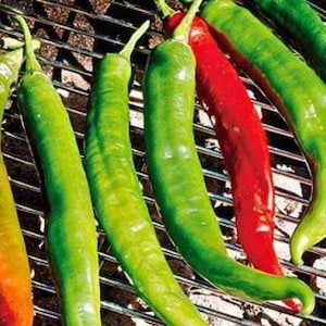 Italian Roaster Pepper Seeds