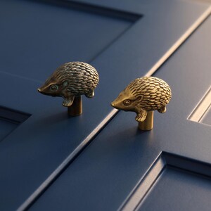 May include: Two hedgehog-shaped cabinet knobs made of metal. One knob features a dark, aged bronze finish with visible texture on the quills, while the other has a bright, polished brass finish. Both knobs are mounted on cylindrical bases.