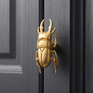 Beetle Drawer Handles, Bug Drawer Pulls, Insect Cabinet Pulls, Nature Furniture Hardware, Gothic Drawer Knobs, Unique Home Decor