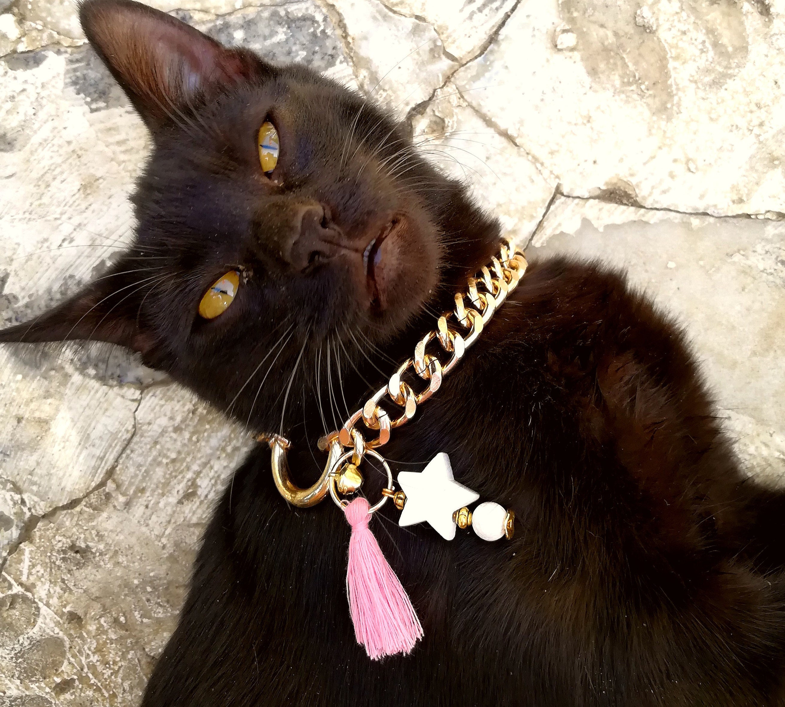 Chain cat collar white star collar. gemstone kitten play Etsy