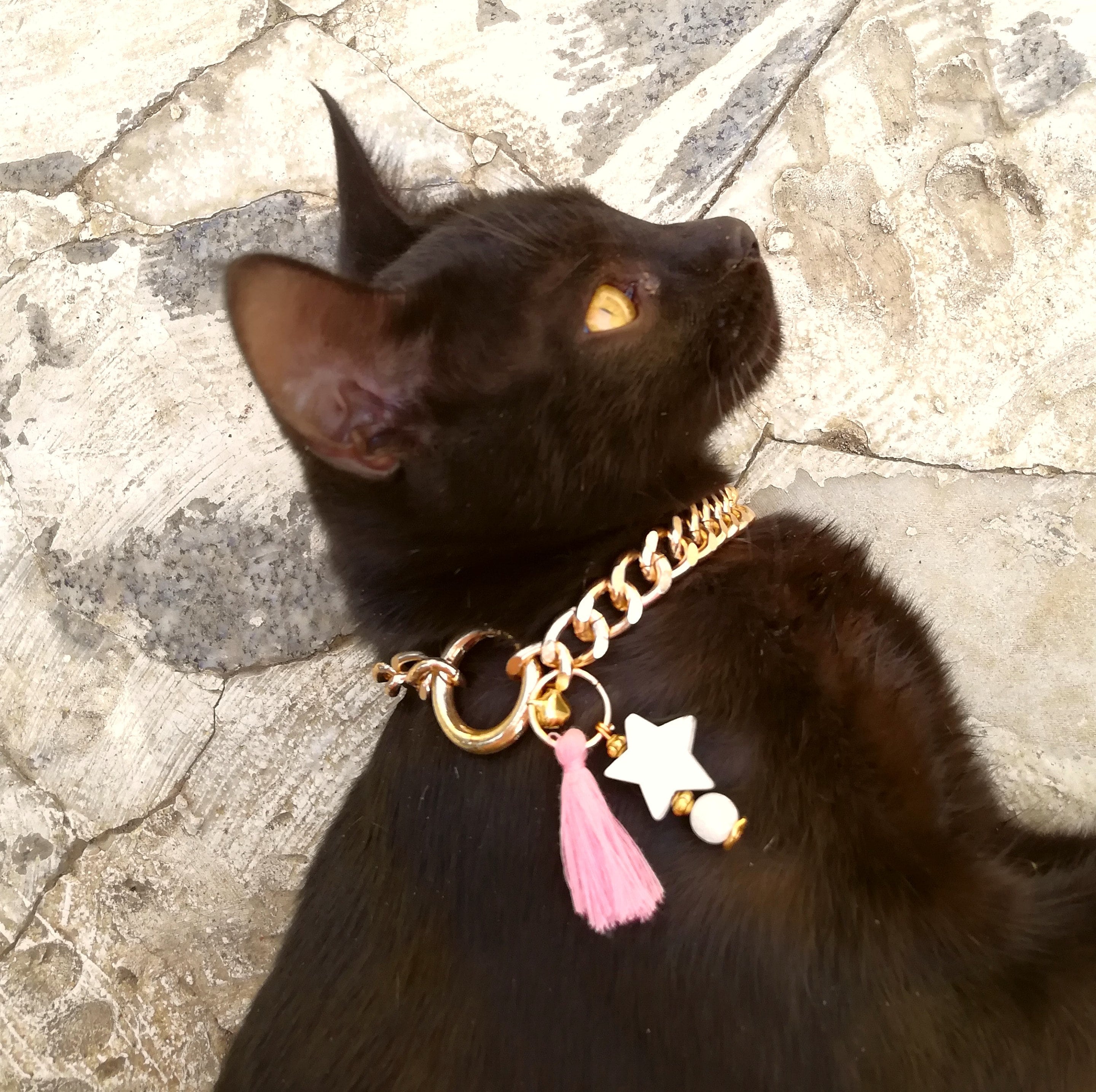 Chain cat collar white star collar. gemstone kitten play Etsy