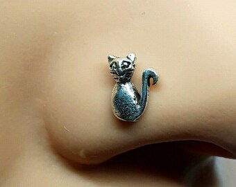 cat with nose ring