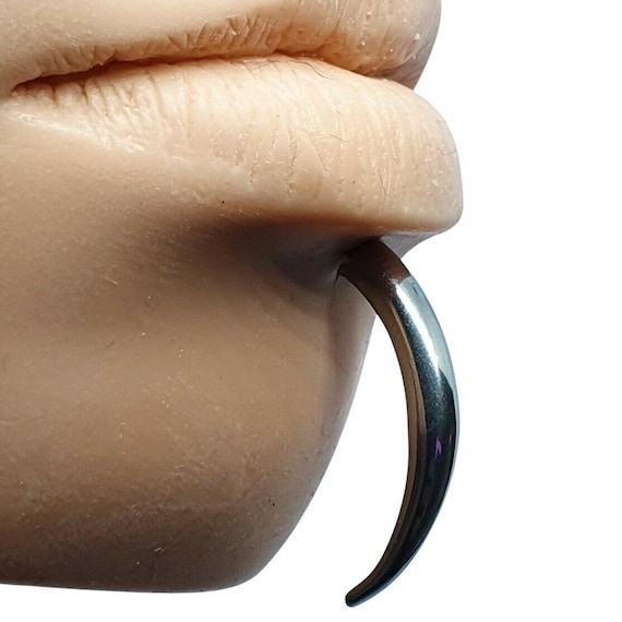 Labret Horn Tusk Piercing Claw Spike Large Chin Statement Labret Horn Tusk Piercing Claw Spike Large Chin Statement