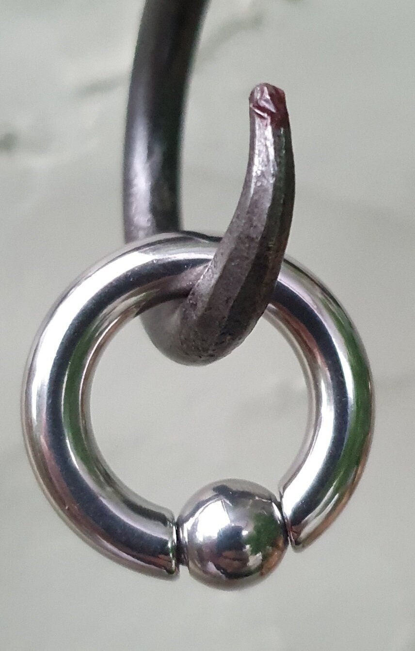 Prince Albert Easy Fit Heavy Gauge BCR 25mm 4g 5mm CBR 8mm Etsy