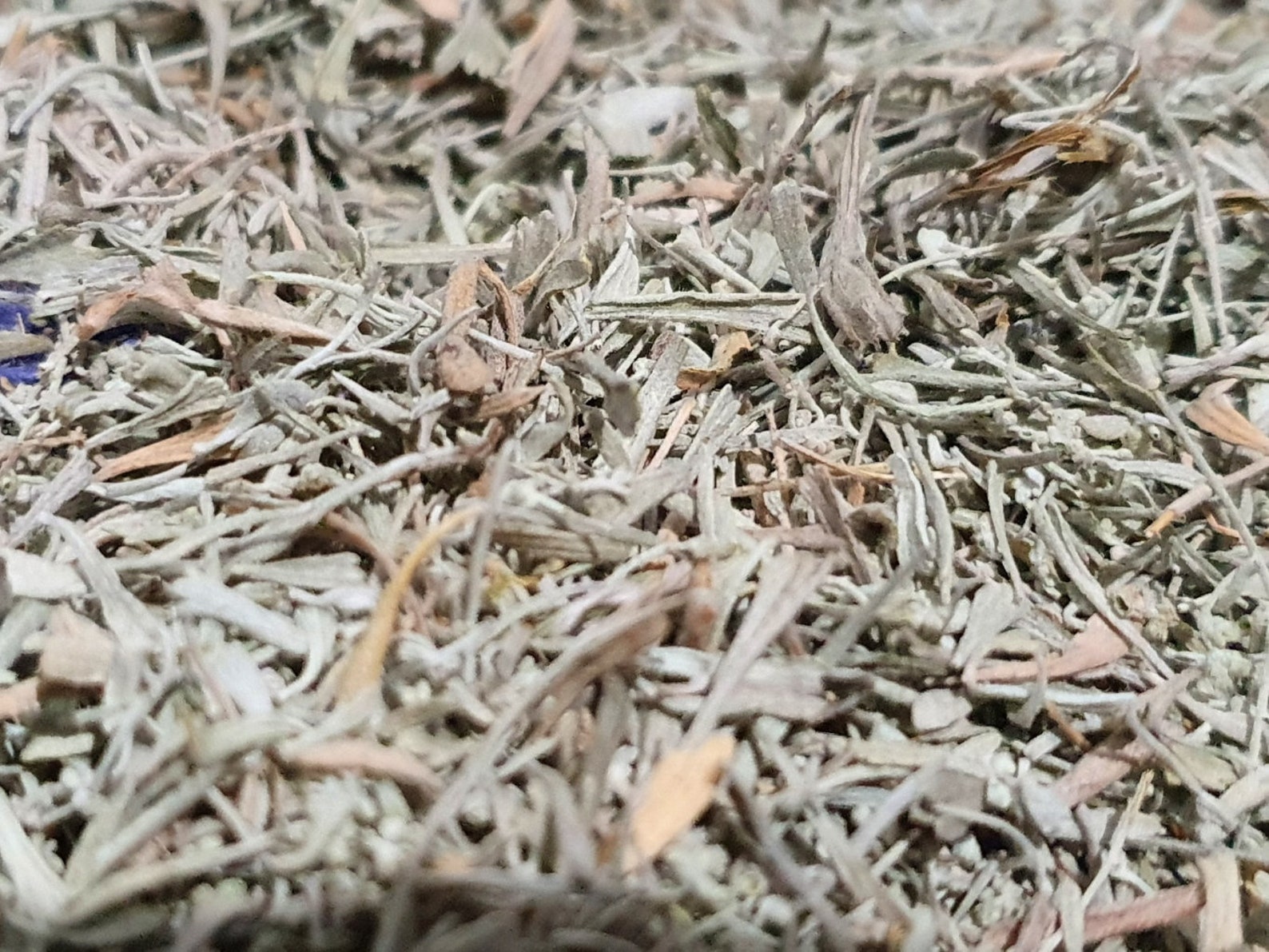 350 desert sage