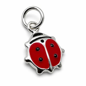 Puede incluir: Un charm de mariquita plateada con cuerpo rojo y lunares negros. El charm tiene un lazo en la parte superior para sujetarlo a una pulsera o collar. El cuerpo de la mariquita es de color rojo brillante.