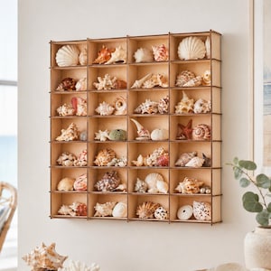 Grote houten trinketplank, wandgemonteerde curiosaplank, schelpdisplayplank, miniatuur verzamelobjecten, decor multiplex rek