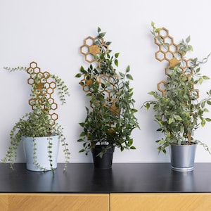 以下が含まれることがあります： 緑の葉と木製のハニカムトレリス構造を持つ3つの鉢植え。 ポットはライトブルー、ブラック、シルバーです。 木製のトレリスはハニカム模様です。