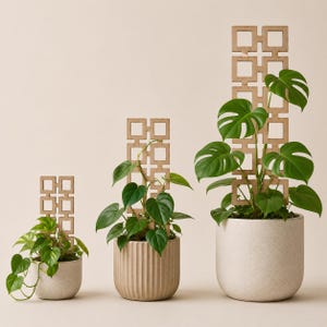 Enrejado para plantas de interior, soporte de madera para plantas trepadoras como Pothos, Hoya y Monstera, 3 tamaños para macetas de 6 a 15 cm, decoración moderna para plantas de interior.